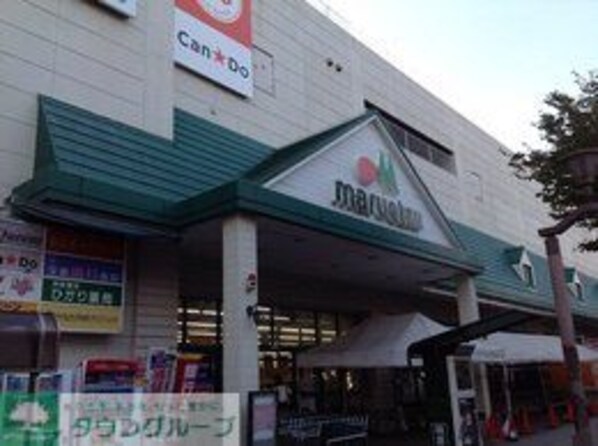 レオネクスト百合IIの物件内観写真